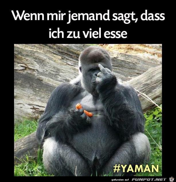 Zu viel essen Zu viel essen