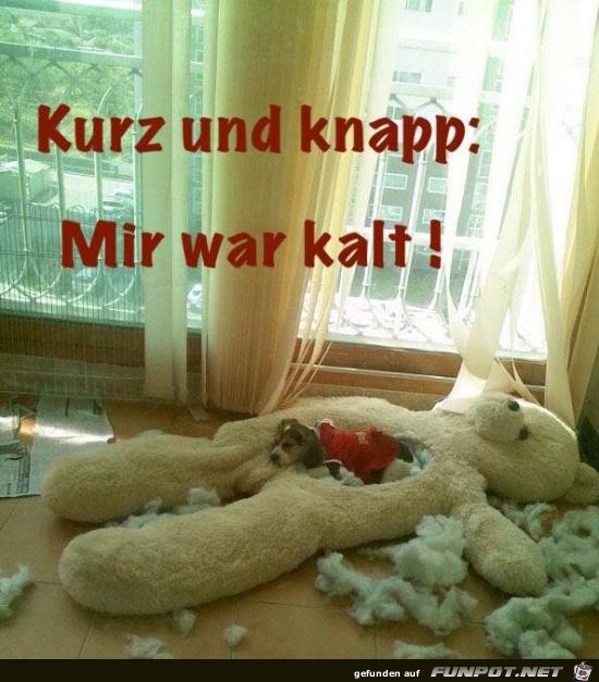 witzige Bilder aus verschiedenen Blogs