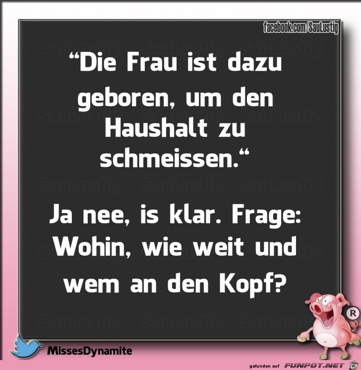 Geboren um den Haushalt zu schmeissen Geboren um den Haushalt zu schmeissen