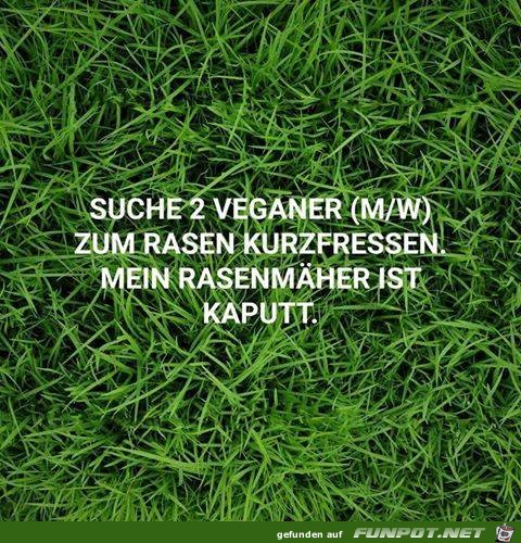Suche Suche