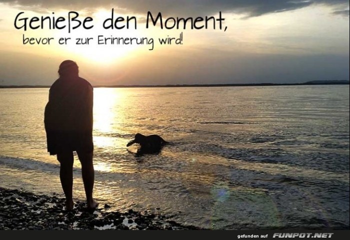 10 sch�ne Spr�che und Lebensweisheiten aus...