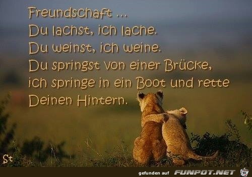 Freundschaft8