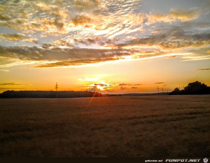 beeindruckende und kuriose Bilder aus verschiedenen Blogs