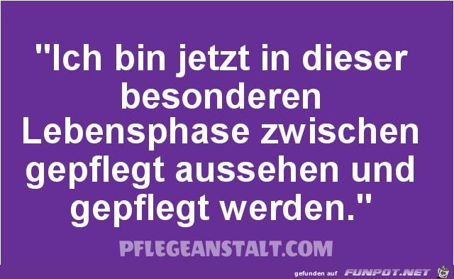 Lebensphase Lebensphase