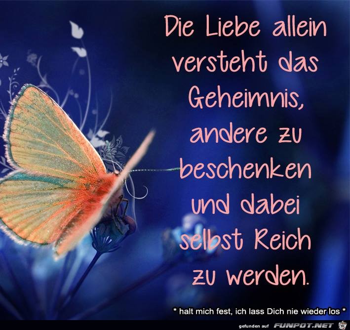 Die Liebe allein