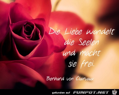 die liebe wandelt