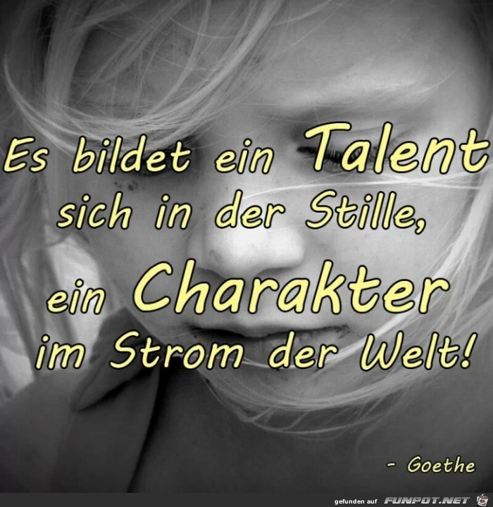Es bildet ein Talent... Es bildet ein Talent...