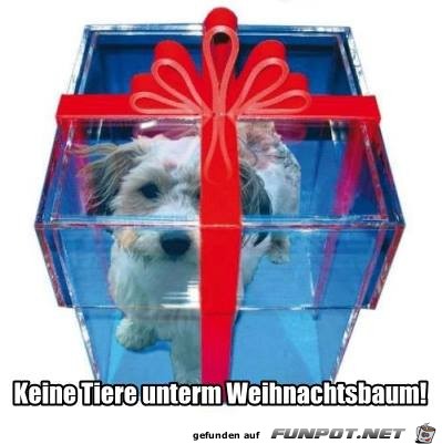 Keine Tiere unterm Baum