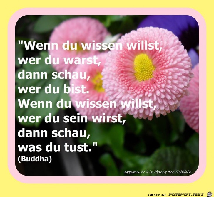 Wenn du wissen willst, wer du... Wenn du wissen willst, wer du...