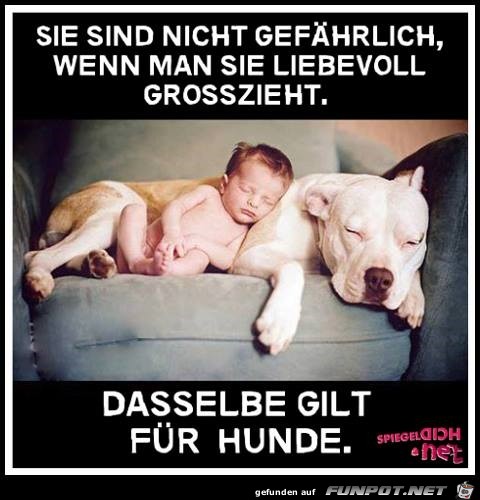 nicht gefaehrlich nicht gefaehrlich