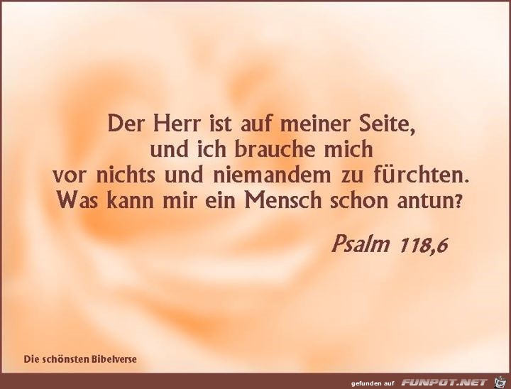Psalm 118 6