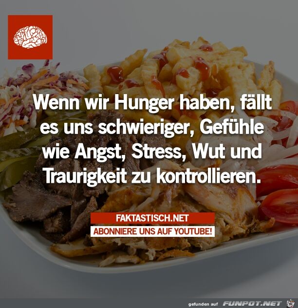 Hunger Hunger