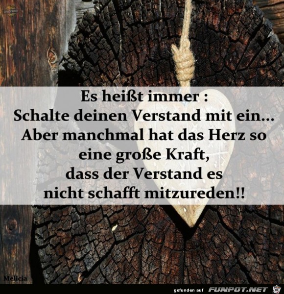 Es heisst immer