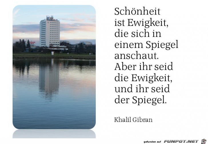 spiegel spiegel