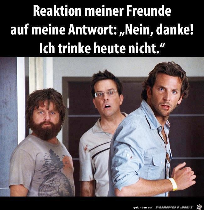 Meine Freunde