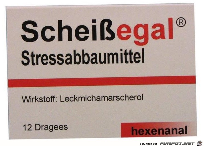 scheissegal