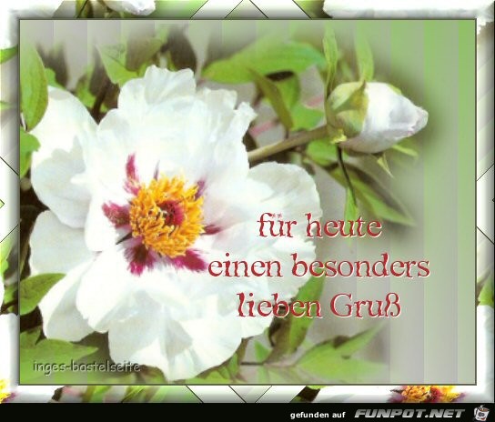 lieben Gruss lieben Gruss