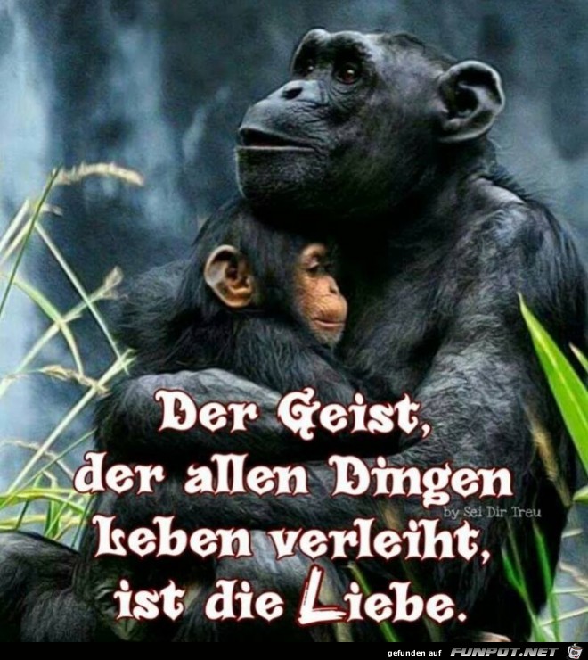 Der Geist