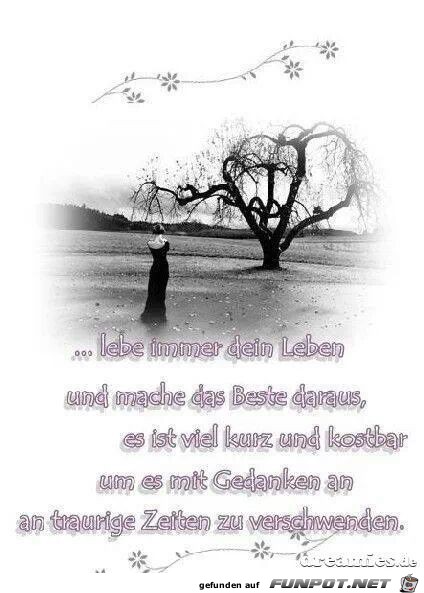 liebe immer dein lebe n liebe immer dein lebe n