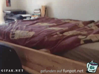 bett bett