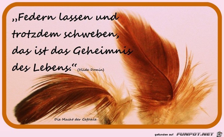 Federn lassen und trotzdem... Federn lassen und trotzdem...