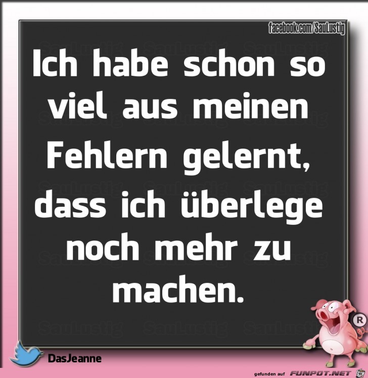 Ich habe schon viel aus meinen Fehlern gelernt Ich habe schon viel aus meinen Fehlern gelernt