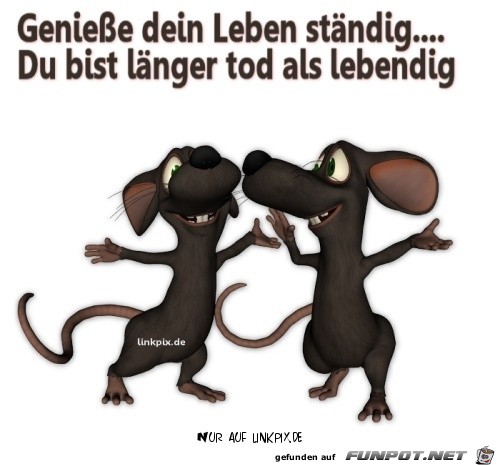 geniesse dein leben 