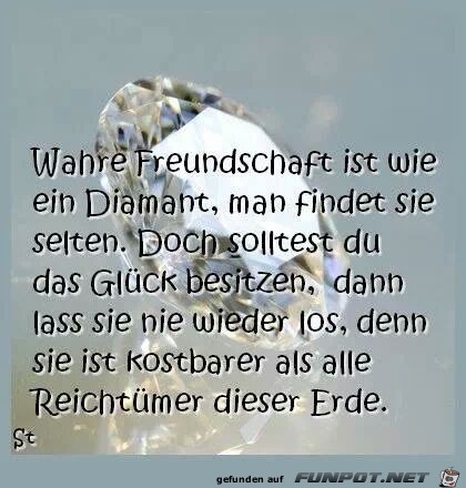 wahre freundschaft ist wie wahre freundschaft ist wie