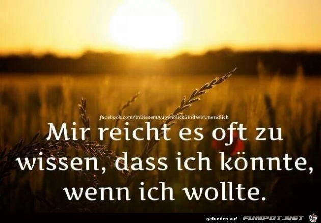 wenn ich wollte wenn ich wollte