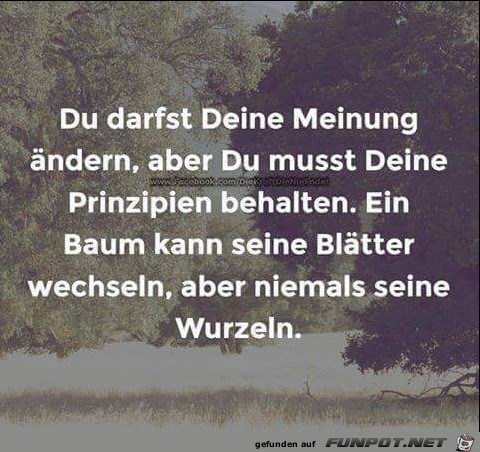 du darfst deine Meinung du darfst deine Meinung