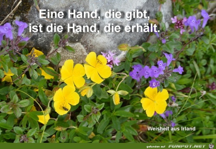 Eine Hand die gibt