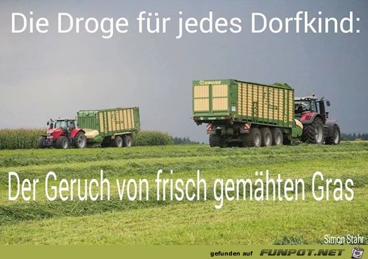 wdroge wdroge