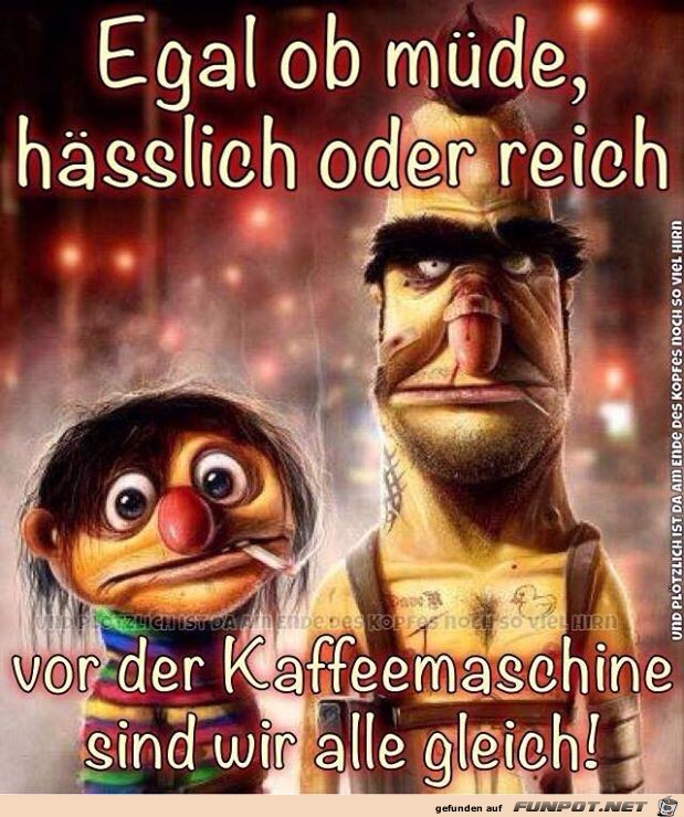 Alle gleich Alle gleich