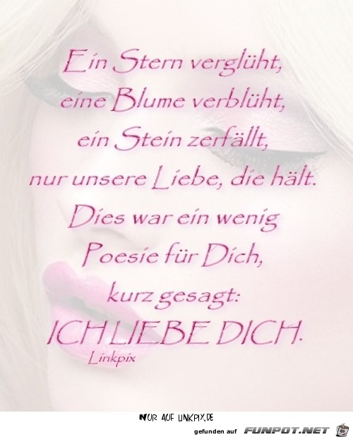 ein Stern verglueht ein Stern verglueht