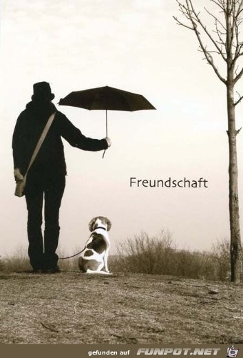 Freundschaft Freundschaft