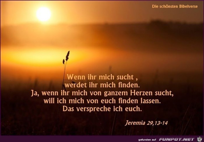 Jeremia 29 13-14
