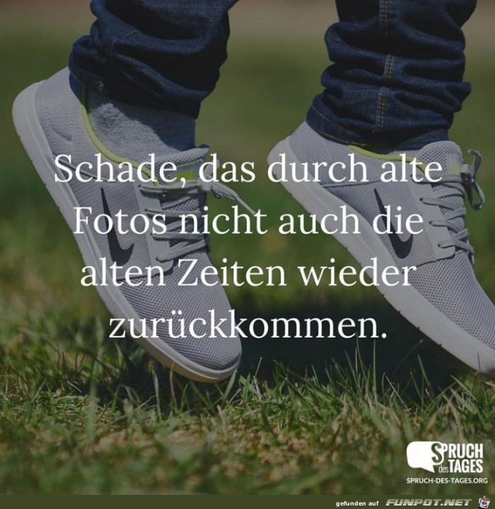 schade-