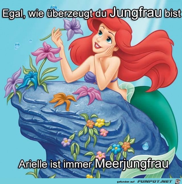 mehr 1 mehr 1