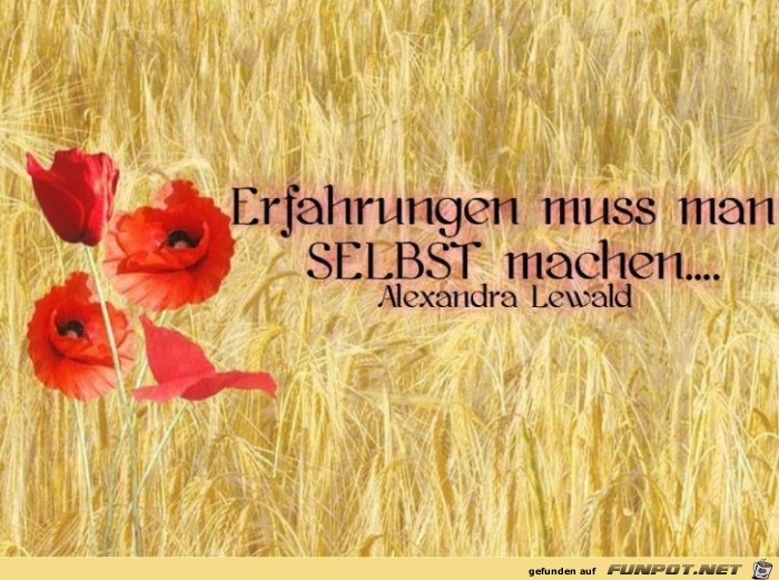 Erfahrungen Erfahrungen
