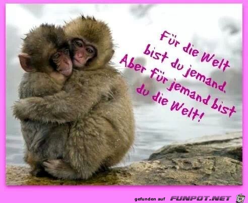Die Welt Die Welt