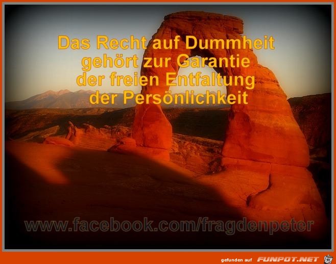 Das Recht auf Dummheit Das Recht auf Dummheit
