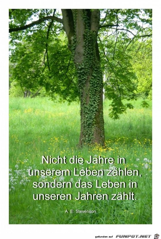 Nicht die Jahre in unserem Leben Nicht die Jahre in unserem Leben