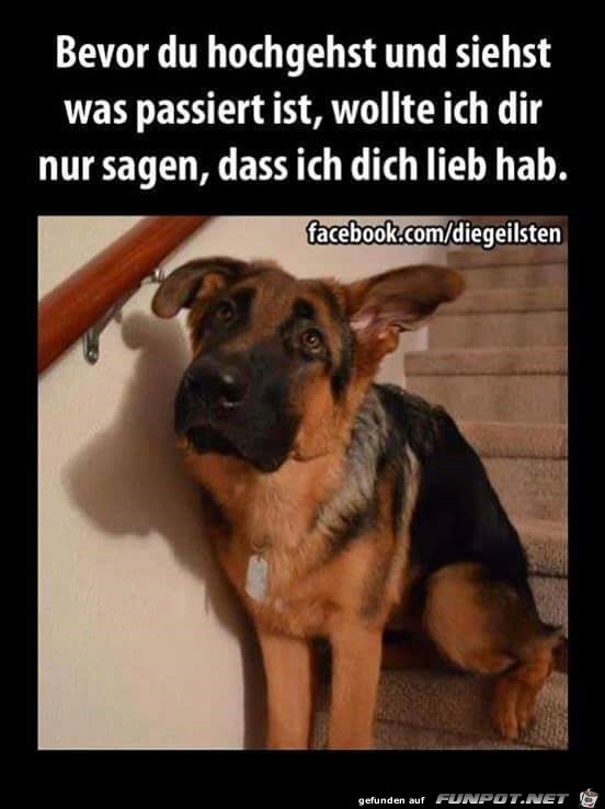 lieb lieb