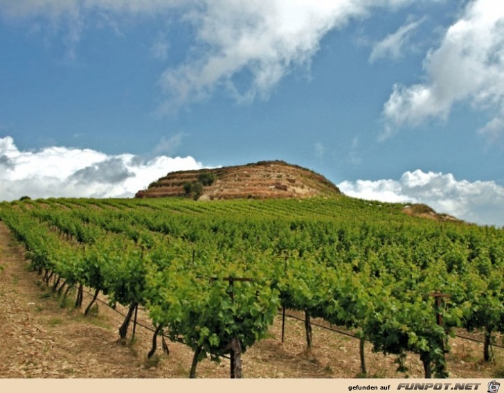 Die schoensten Wein-Gegenden der Welt 29