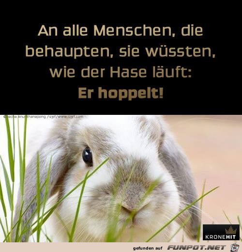 An alle Menschen