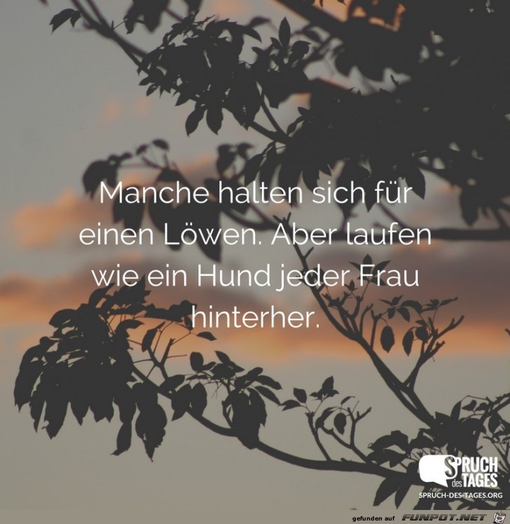 manchen-halten-sich-fuer-einen-loewen- manchen-halten-sich-fuer-einen-loewen-