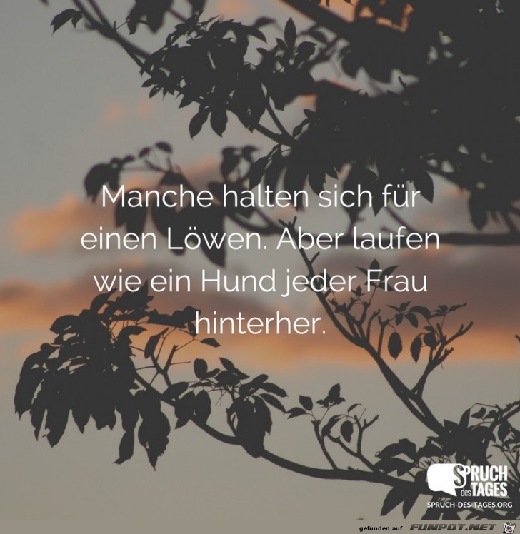 manchen-halten-sich-fuer-einen-loewen-