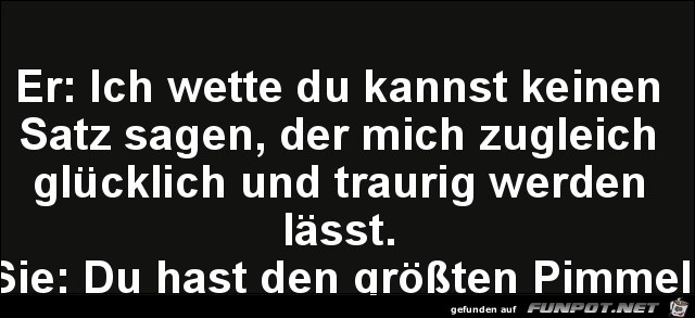 einen Satz sagen einen Satz sagen