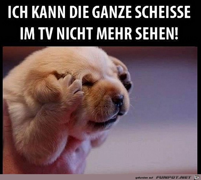 TV TV