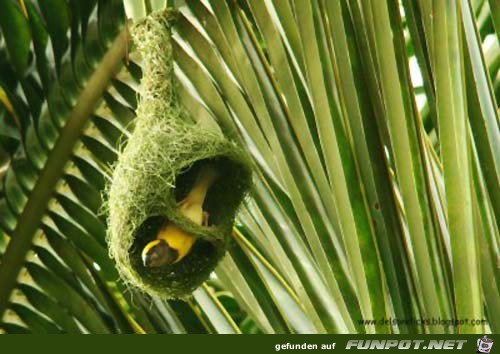image016161716 image016161716